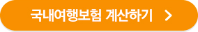 국내여행보험 계산하기